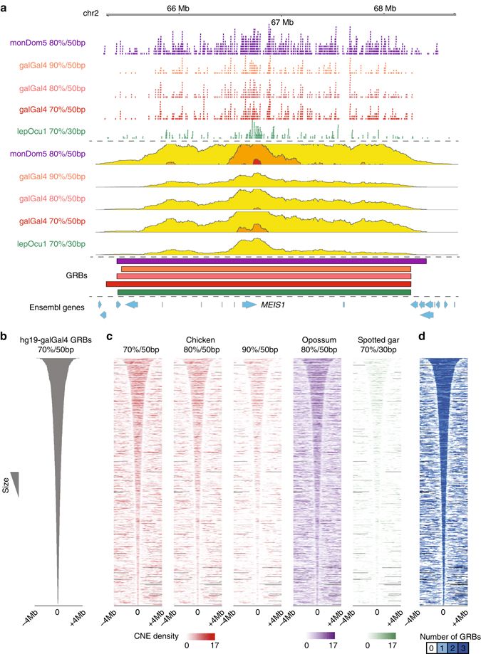 The boundaries of GRBs are highly consistent regardless of the thresholds or species involved (doi:10.1038/s41467-017-00524-5).