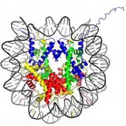 Controlling Chromatin