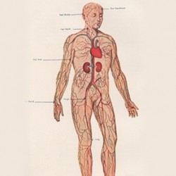 Stopping Sepsis