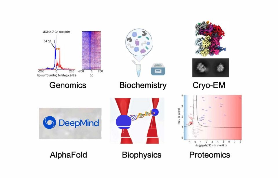 Figures representing Genomics, Biochemistry, Cryo-EM, AlphaFold, Biophysics, Proteomics