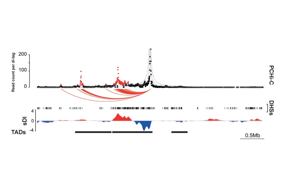 The impact of effectors