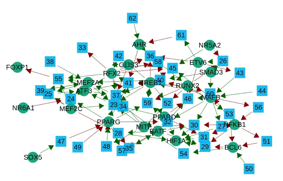 Diagram displaying an interactome