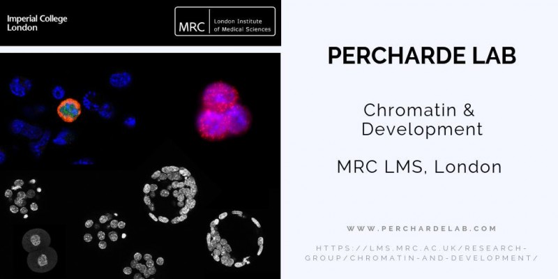 MRC LMS marketing assets- Percharde Lab Chromatin & development