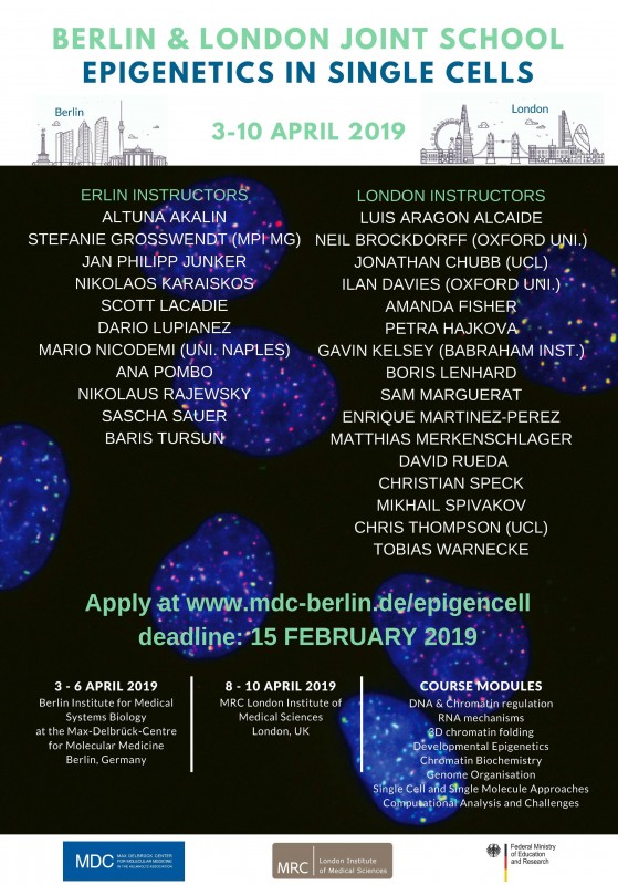 Berlin & London Joint School – Epigenetics in Single Cells