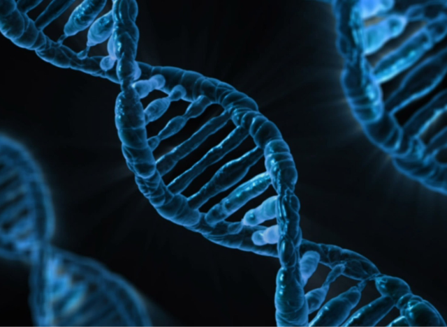 Renal Genomics