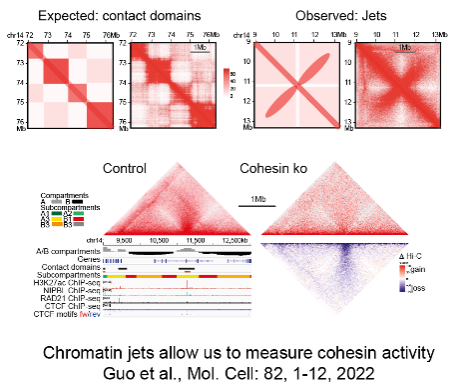 Expected contact domains