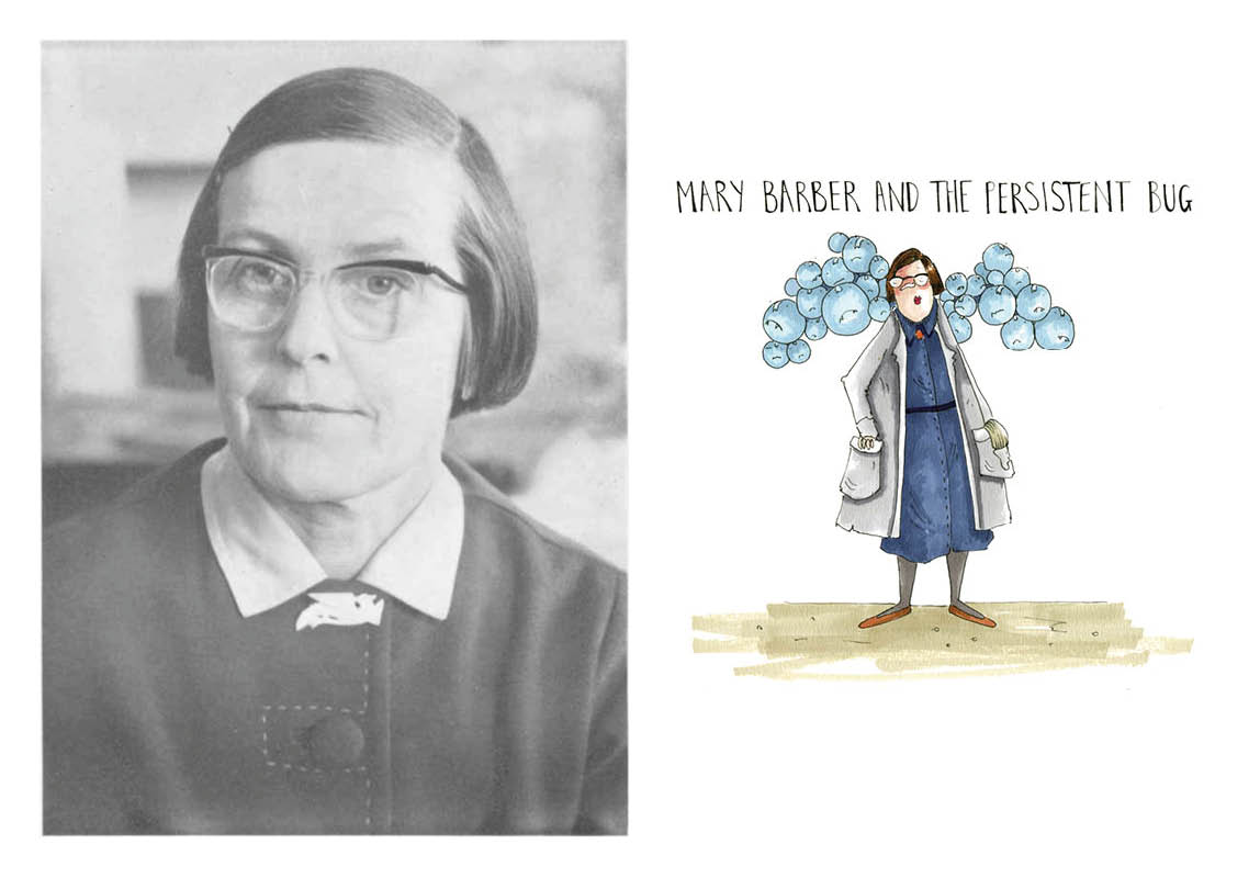 Mary Barber Hidden hero of bacteriology featured in Heroes of Health