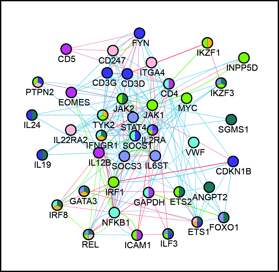 Part of the “core autoimmune disease network” of genes showing associations with different autoimmune diseases