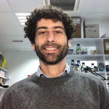 Nicola Festuccia Regulatory Network Dynamics Group