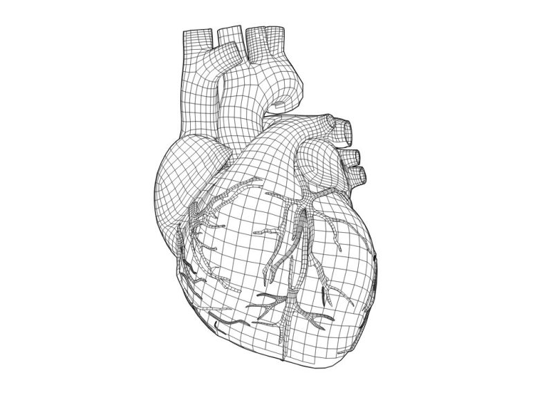 Computational cardiac imaging