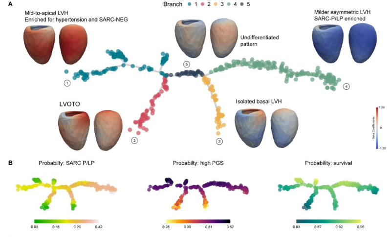 This ‘family tree’ graphic offers a striking visualization of HCM’s diversity