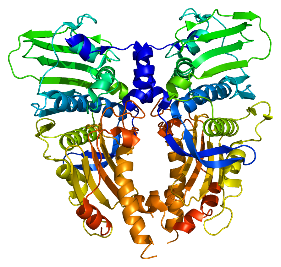 protein_top2a_pdb_1zxm