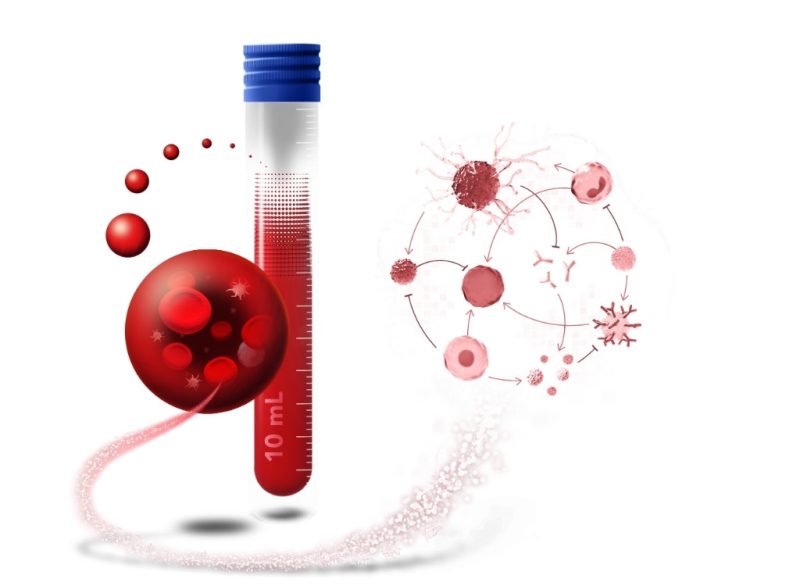 Systems immunology