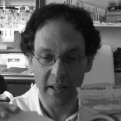 Richard Festenstein