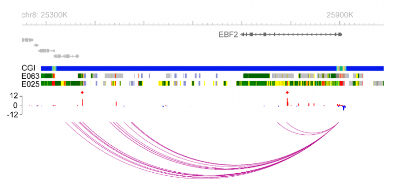 Genomics of Obesity