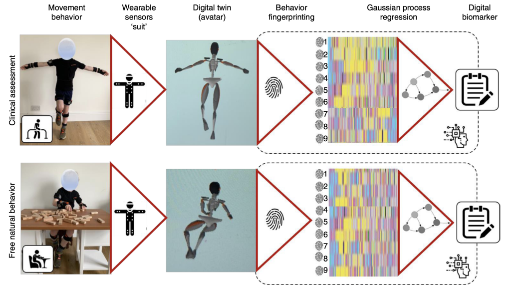 Diagram and findings for movement behaviour