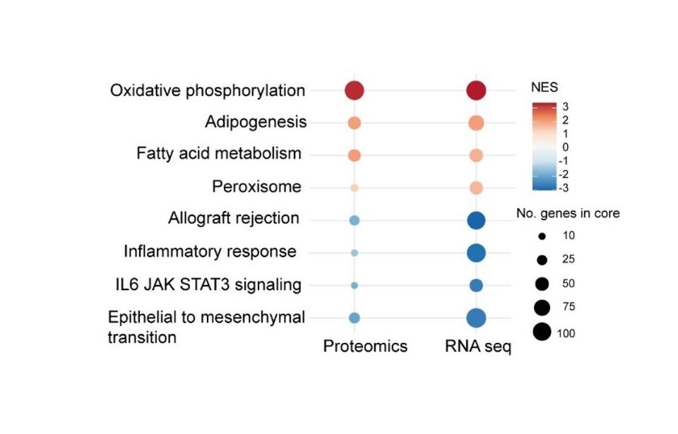 Cellular stress findings