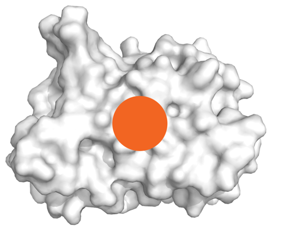 Computer generated graphic of cell