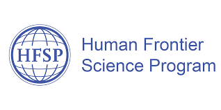 HFSP (Human Frontier Science Program) Logo