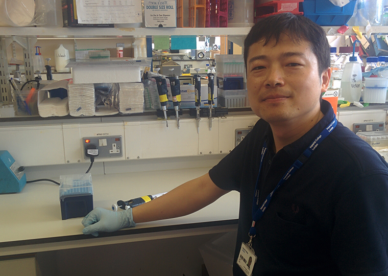 Dr Guo Ya will explore genome folding in immune cell development