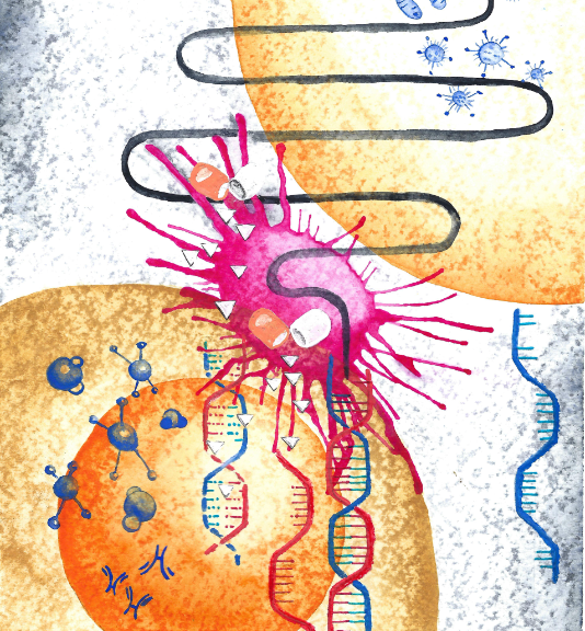 This image is an artistic representation of tumour-associated microbes impacting the efficacy of anti-cancer drugs by Julie Schubert, an Admin Assistant from the Cabreiro Lab at the University of Cologne.