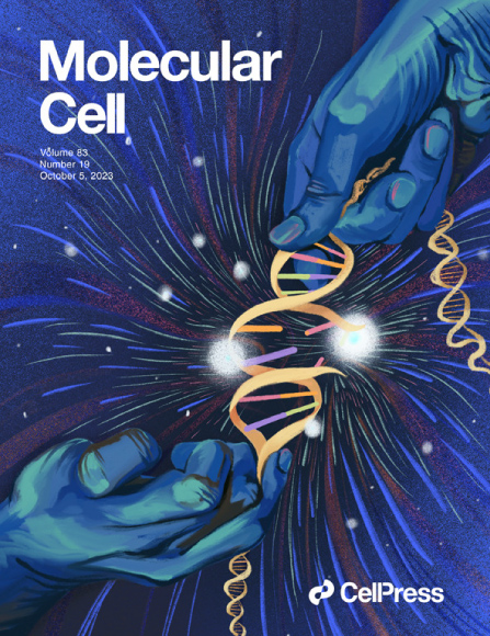 Molecular Cell Cover- Volume 83, Number 19, October 5, 2023