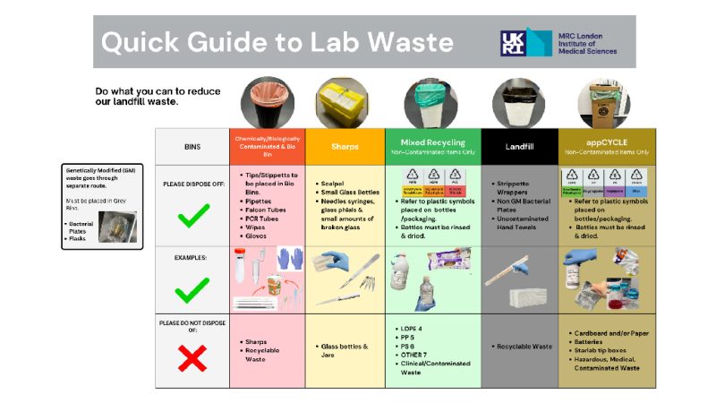 Tops tips for reducing waste - which bins to use