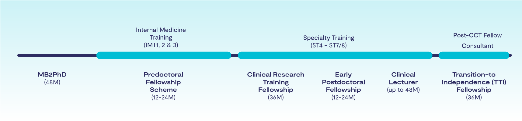 Visual timeline of the Chain Florey clinical academic pathway