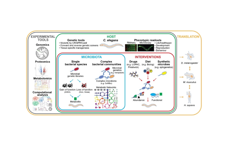 host microbe approach