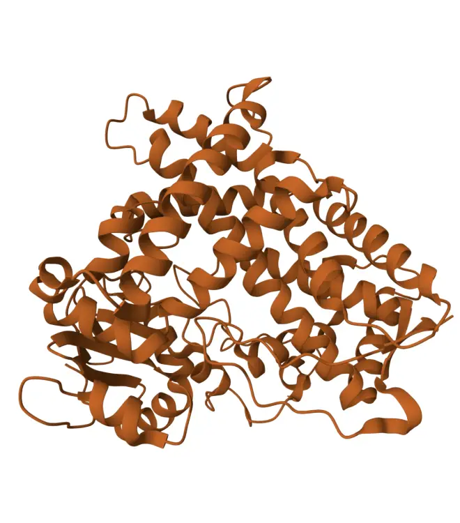 Vitamin D bioanalysis