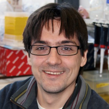 luis-aragon