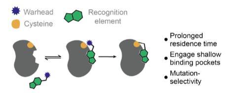 Representative mode-of-action for covalent binding by a targeted covalent inhibitor.