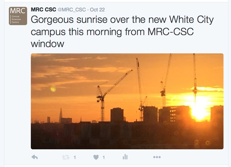 Gorgeous sunrise over White City campus from the CSC