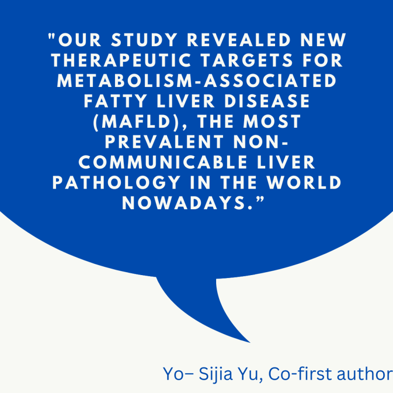 Quote from Yo-Sihia Yu, Co-first author. "Our study revealed new therapeutic targets for metabolism-associated fatty liver disease (MAFLD), the most prevalent non-communicable liver pathology in the world nowadays."