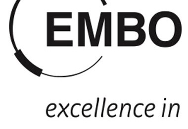 EMBO Memberships Awards
